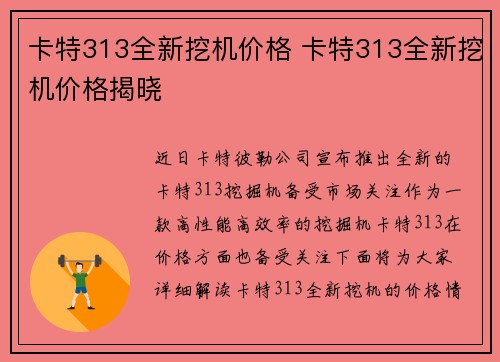 卡特313全新挖机价格 卡特313全新挖机价格揭晓